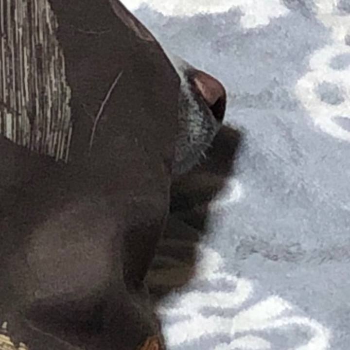 F5524872 dfa3 4822 95bf 02267d36aab6 1640933502912