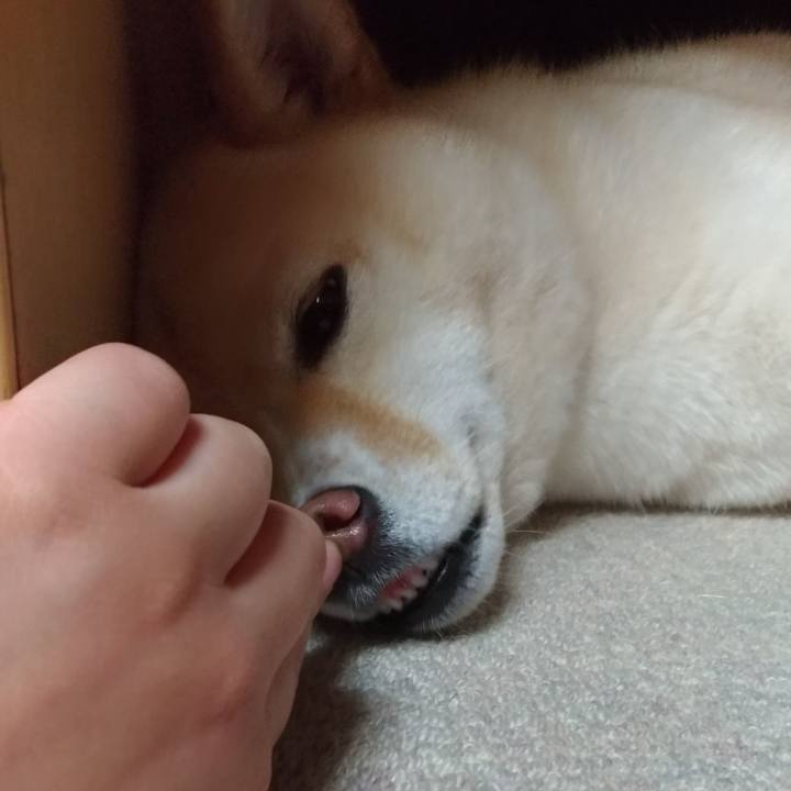 F5524eee e42a 469f a323 89ffbe06afa8 1560944765894