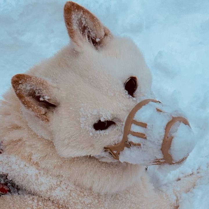 F5525bac d888 4427 a350 657abfbe6755 1768516846002