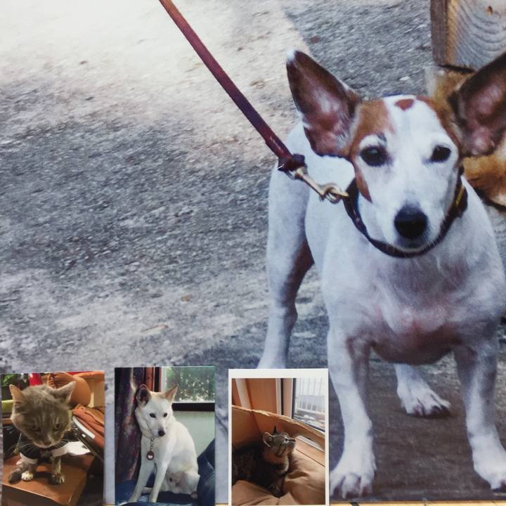 F5529724 ca56 40fc 922e 589132acb20d 1526736681651