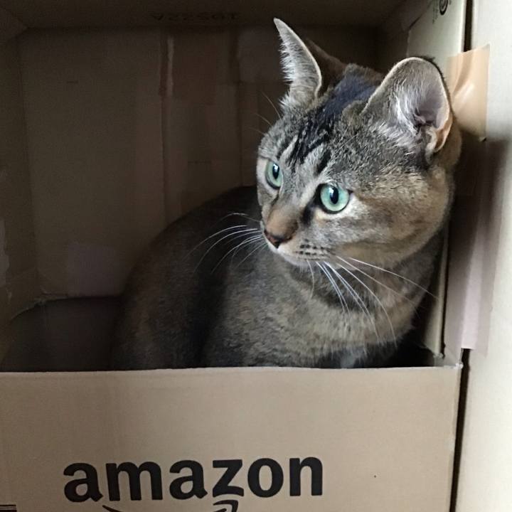 F552a3af 6275 4e71 ae73 6ebf477073fe 1615614792092