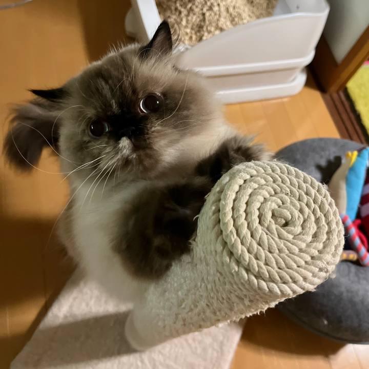 F552ac0c 2799 495f 9c9a 1f6a68168899 1760533776584