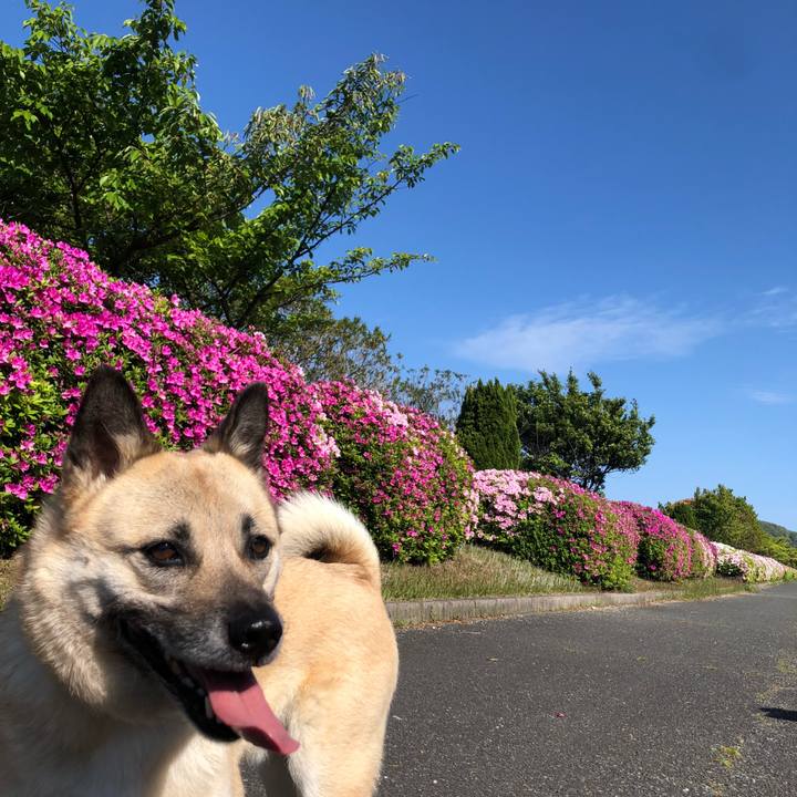 F552b7f0 6abe 4a1d a74b fe54997de8c6 1619262011675