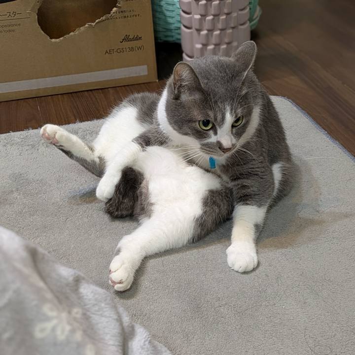 F552db6e 0cb9 47ed 8af2 c0b7c88c36c4 1743595444055