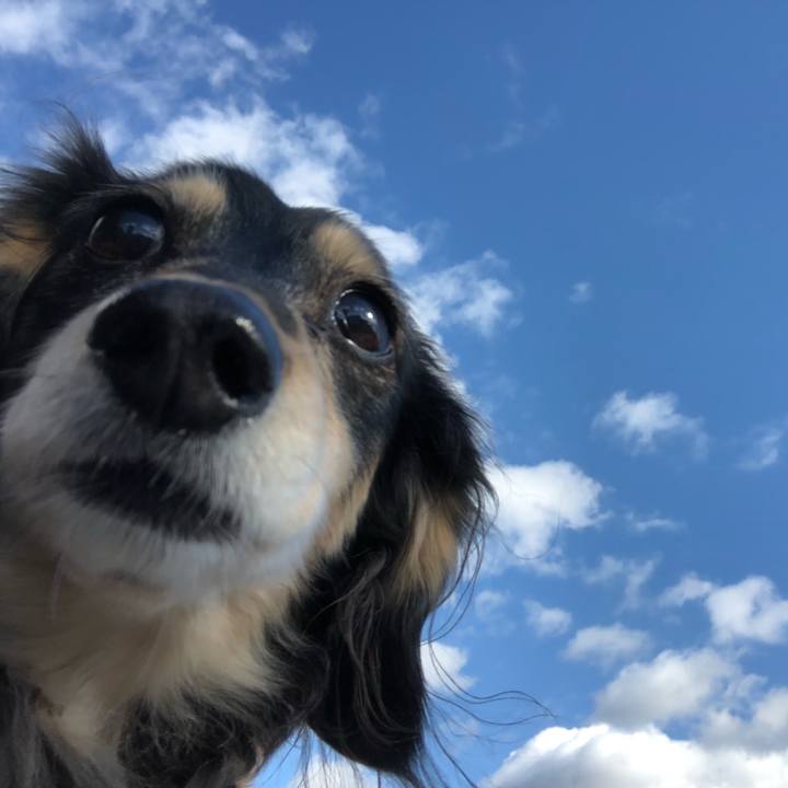 F55309e8 bf7a 447d bc36 c1dbdabd7620 1609734513635