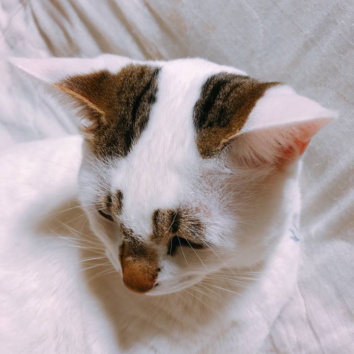 F55393f6 99e1 468d 8301 6c42f9ced696 1517147800585