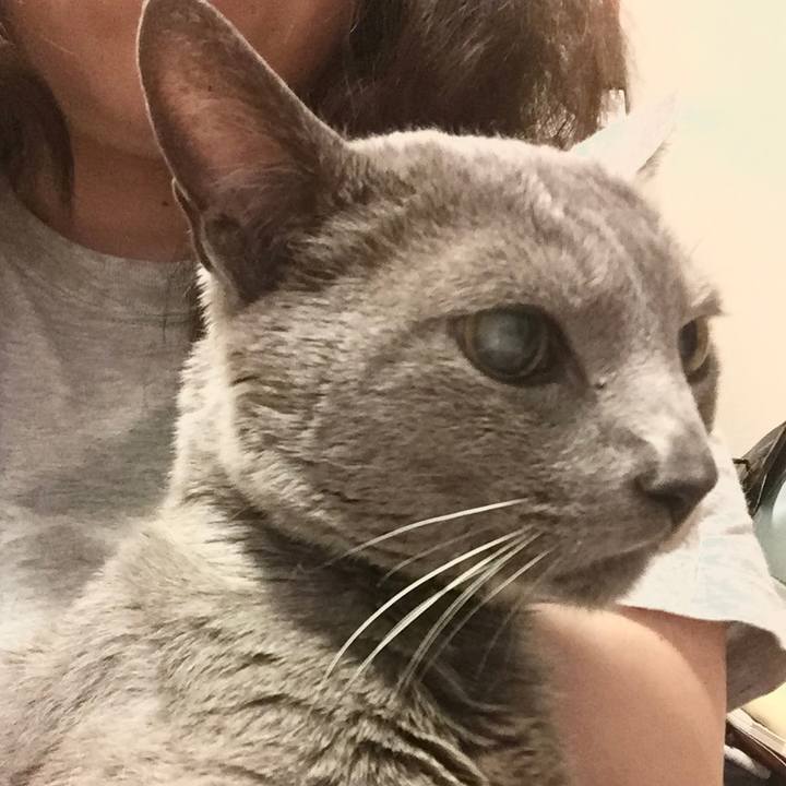 F5539f85 4655 48f4 b1a1 65720703e2dd 1617291914679