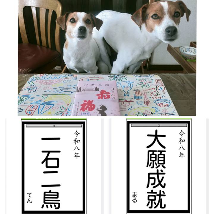 F553cdd6 1d70 4c68 98af 78439a9a0594 1767598424591