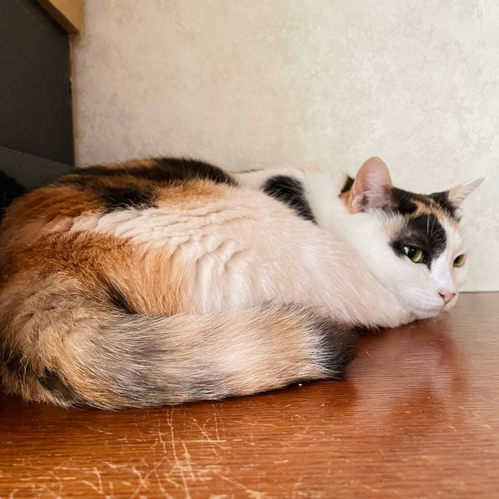 F553ceb9 67e8 4cab bfdc 127a41f25c4f 1664155789743