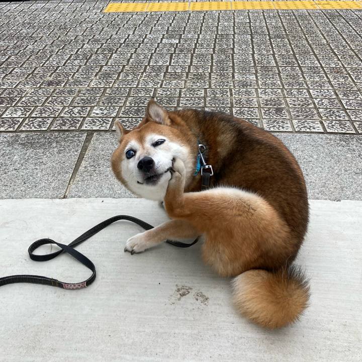 F553d3bb cb61 4f76 afc2 9d119be8460b 1726725799790