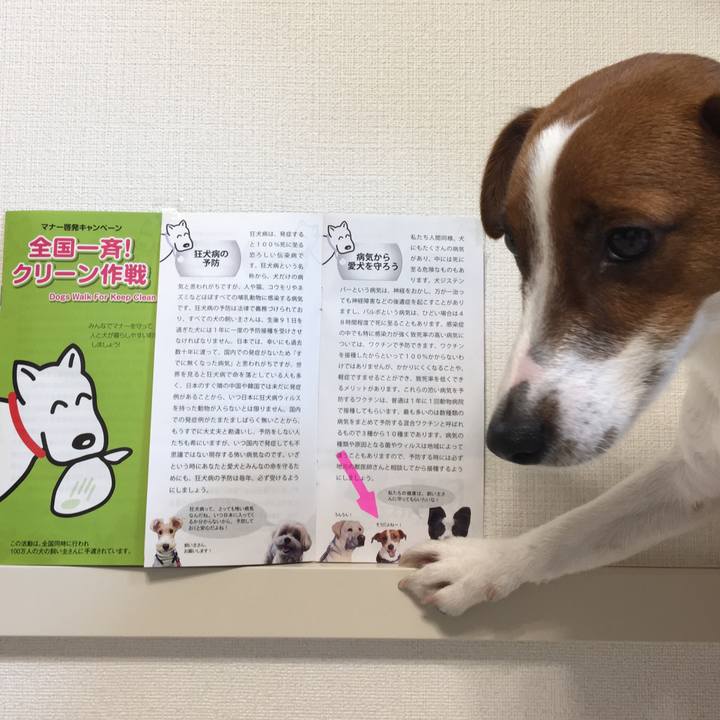 F553e2f2 c615 4b7a a566 35afe9e461eb 1520252677541