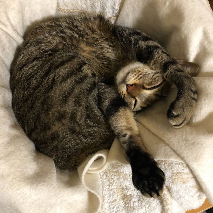 F553e83f a08b 47fd b403 b1aba114c1b4 1558775520585