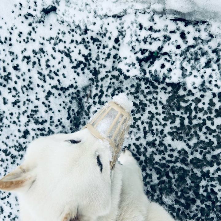 F553ed4b f28d 4b1f b0b7 dd68336b8e48 1710714791737