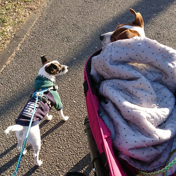 F553f04c c604 4708 bccb 5a7cdb7d2279 1609662472128