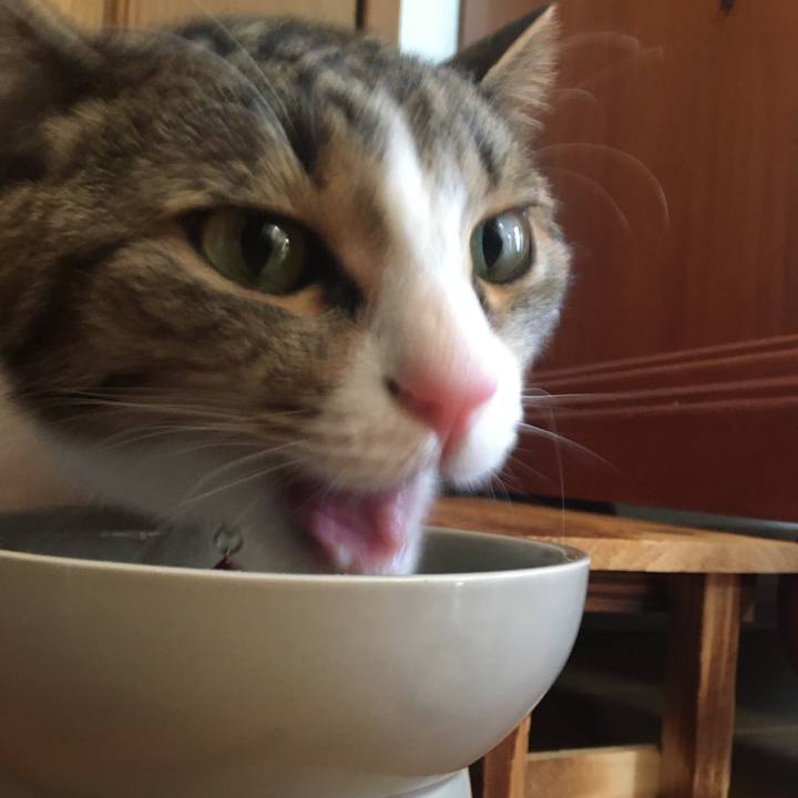 F5541abd dbcd 401c 9fa3 a5c4f04e12ed 1670747425710