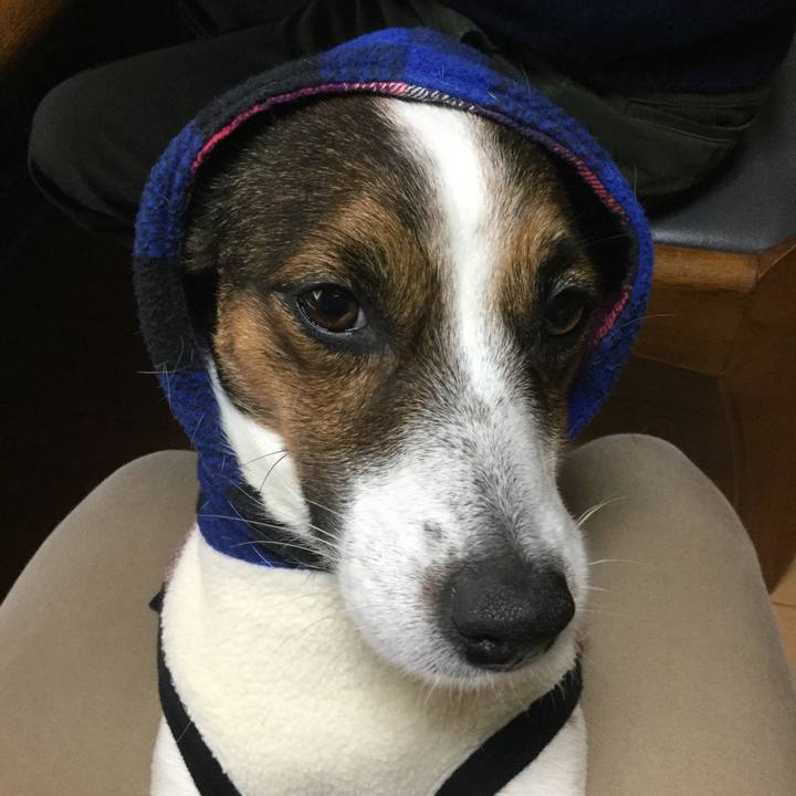 F5543cab 923b 4886 b627 35b2cc5adf3b 1546054900098