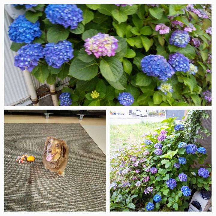 F554bae7 2d13 4e5f 846b 6b787a66301d 1591446172721