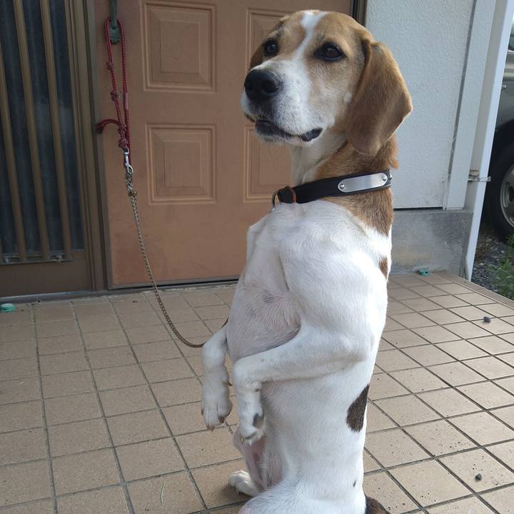 F554d126 0687 4fb0 985a 6a8a44d18a11 1657535087498