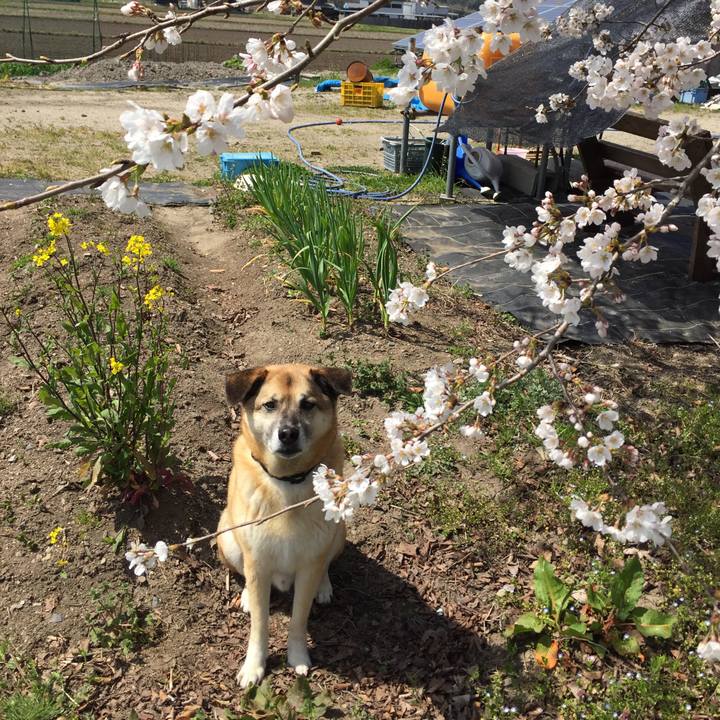 F554f691 facb 4236 aa73 895a1ab0dc50 1522667548822