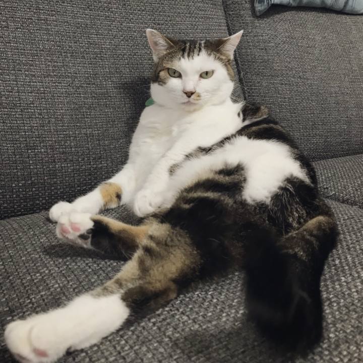 F5552000 b584 4730 8e57 8be491ef0278 1564462522042