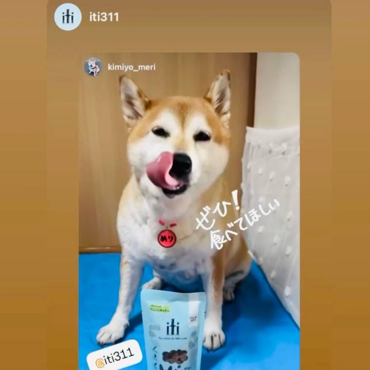 F555383b 3ead 4969 b16d 461d559e2e9e 1726050068744