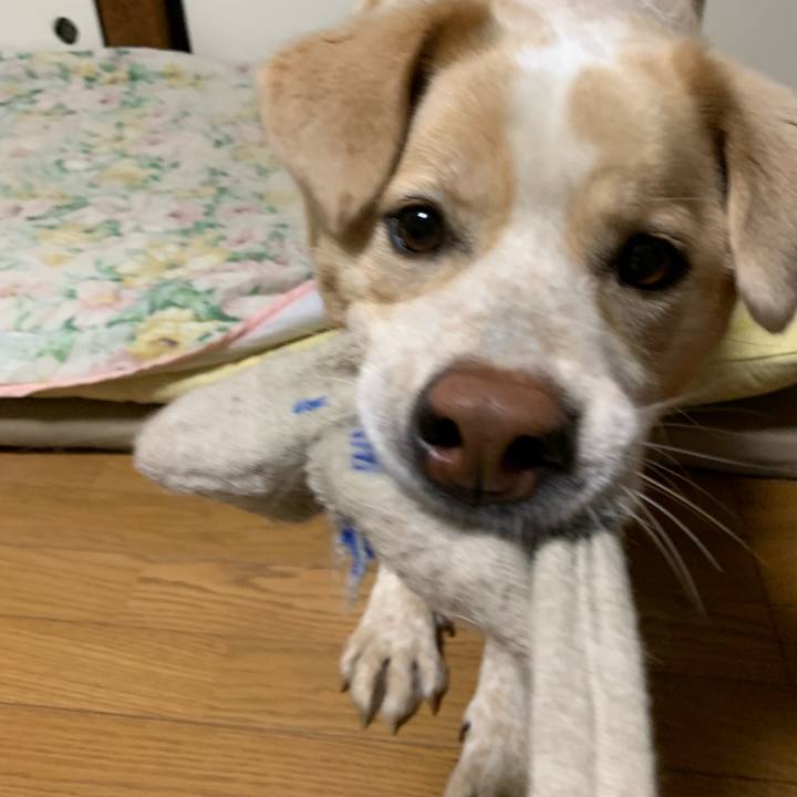 F5554259 6113 44d3 855f 2ae8d11bf7d7 1560952182994