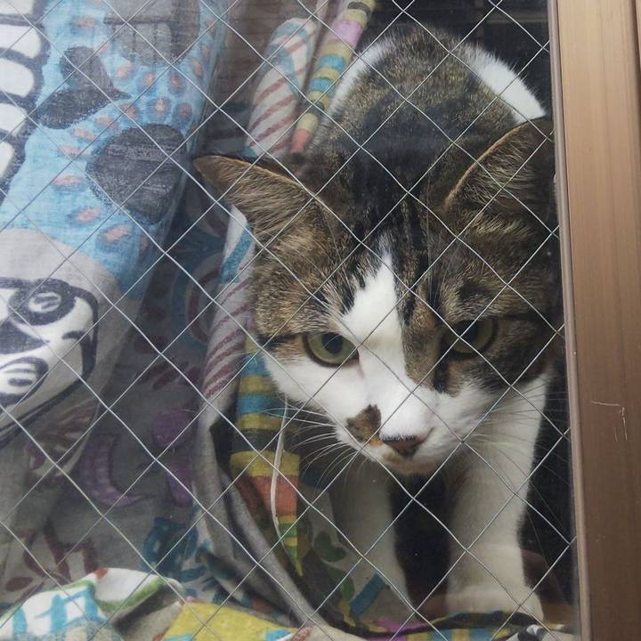 F5557600 939a 49b6 a0db 536ffa9cf622 1657579482418