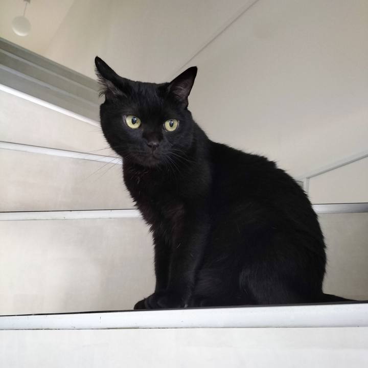 F5559109 bce4 42c0 89b4 c0af96b5cdfc 1696305238376