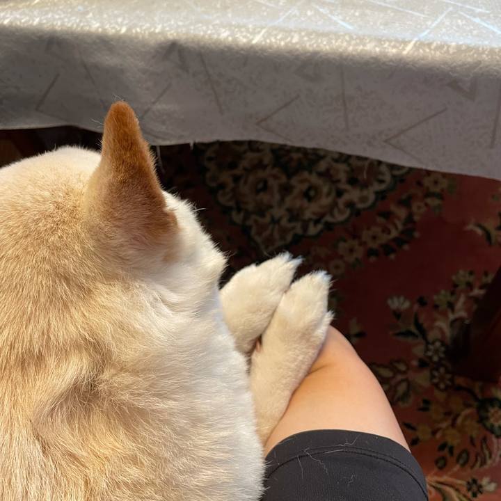 F555c02e 8dd7 4373 8780 7f4ce3003af0 1637163940902