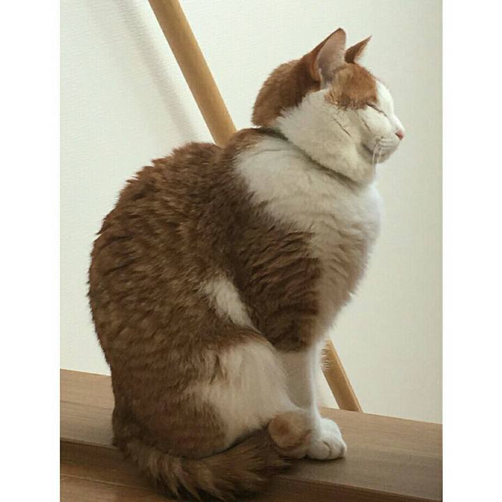 F555cb07 1b7f 4cbf a536 2b0e7386bd21 1515157581897