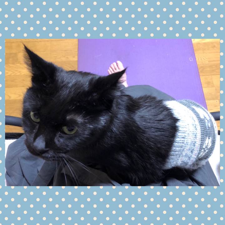 F555d275 9ce2 4181 9c40 ec0b5a78acd5 1605102743532