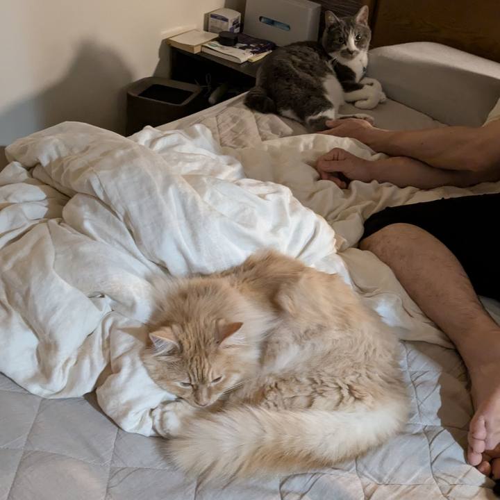 F555f212 0809 4d8d b7ec 33f31441d08d 1751413918913