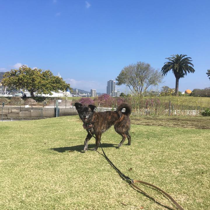 F556173c b57c 4f98 a015 2f46c16a3443 1555800709115