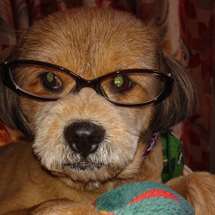 F556ad64 b284 4279 a41f fc82097191d9 1548250895343