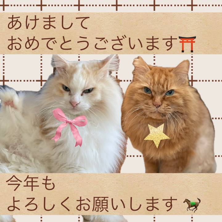 F556d5fb 91df 426c bcc3 726911bcad9d 1767221279332