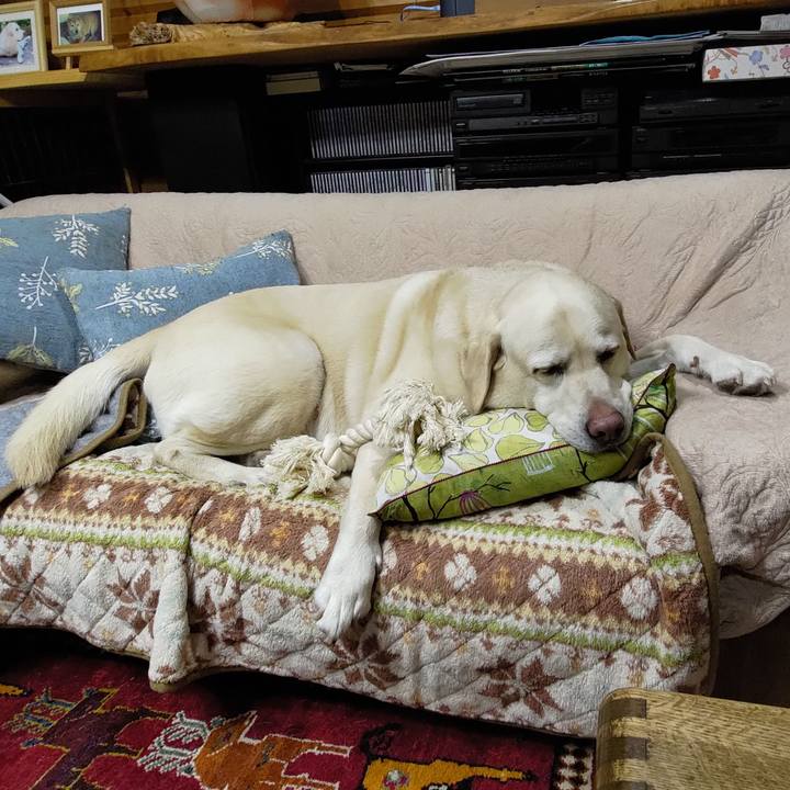 F556f010 b6f0 4195 8796 3b8bb9aabeb1 1706060591774