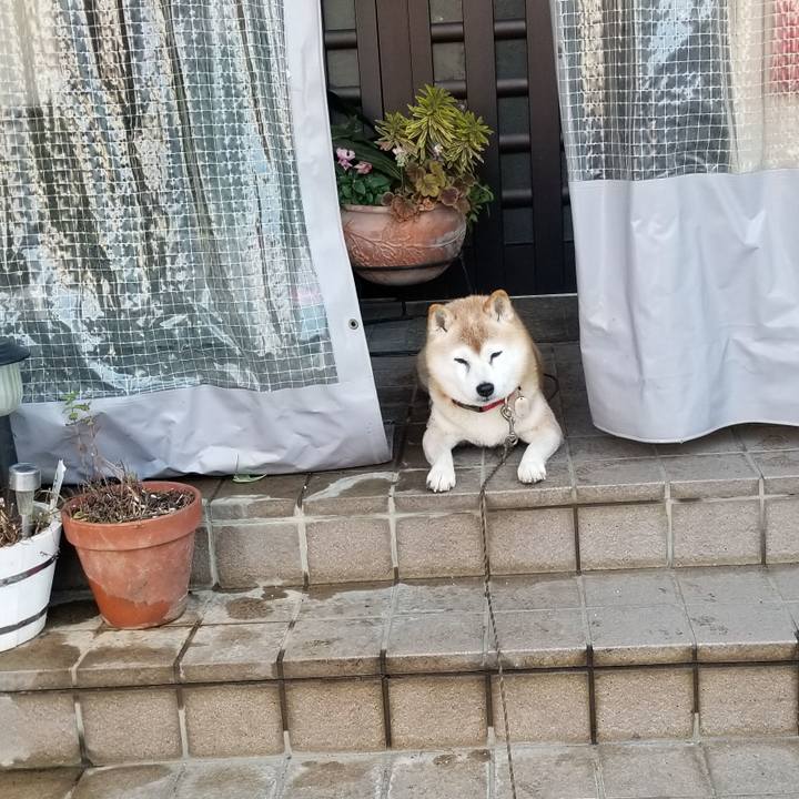 F5573cdc da20 4982 a28a d1282eb062e1 1735092536523