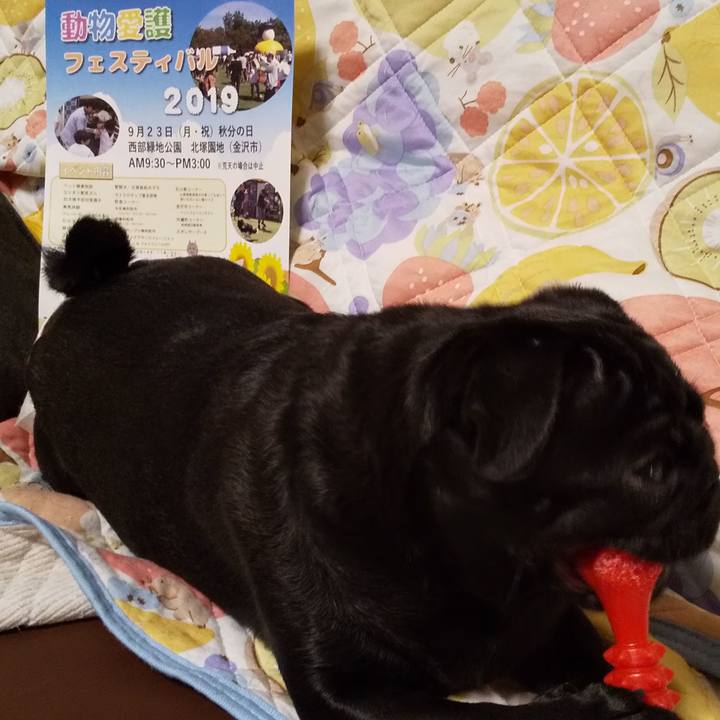 F55740ea 2f22 4575 8fc6 fb79db0bd7a7 1568807126711