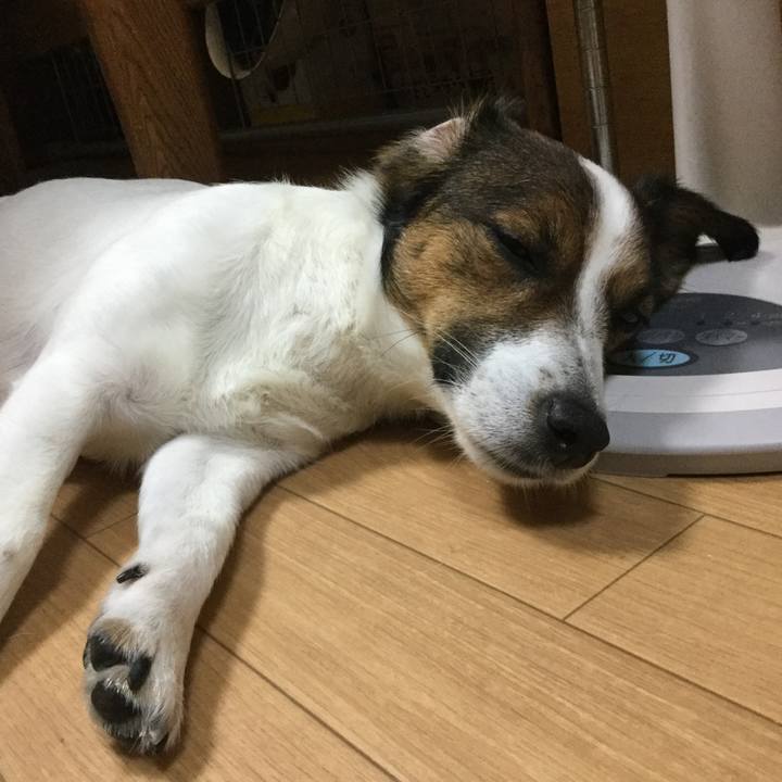 F55771b7 2f57 48c0 8270 8db2e7a2558d 1530183509916