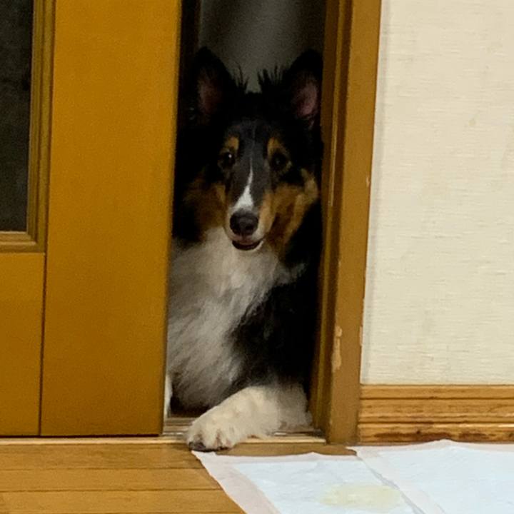 F5579948 fd99 4292 8ea6 7a354c707a84 1593481010396