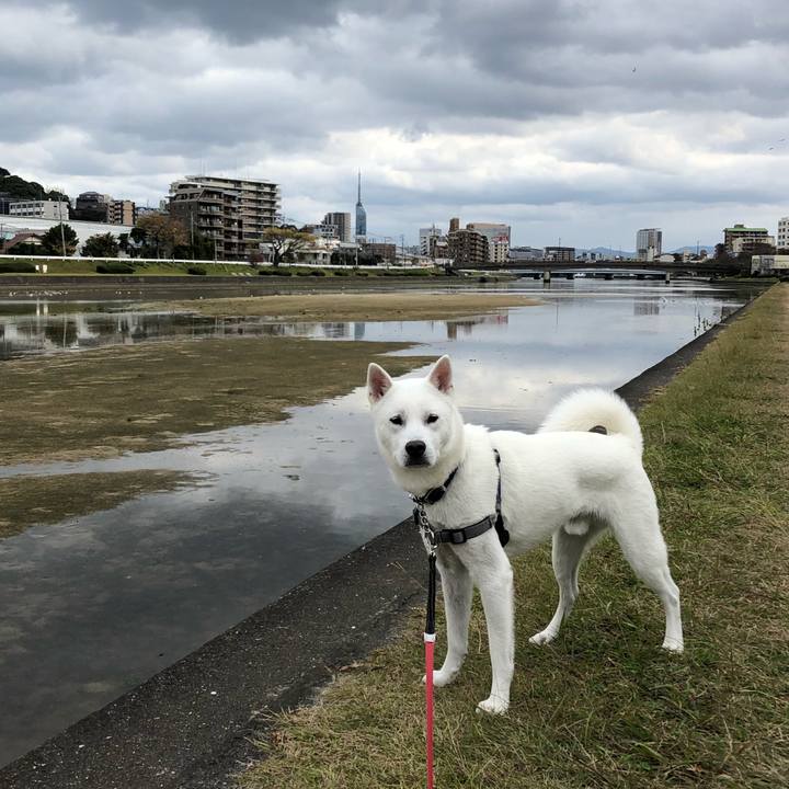 F557b6ab b8e3 45f0 a98d 4e03d6384753 1544320828388