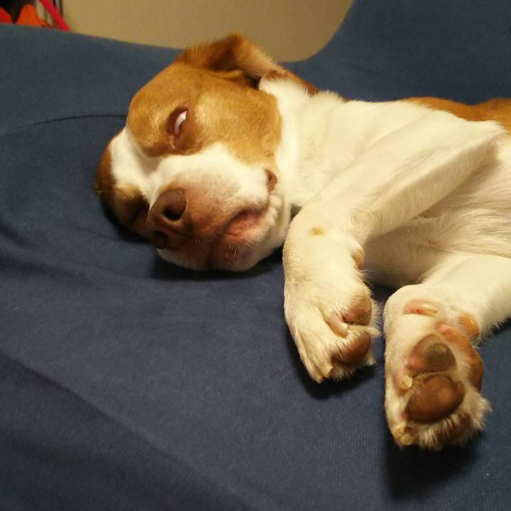 F557db8a 3b36 4a3b 8e29 44ad3e642603 1591703875894