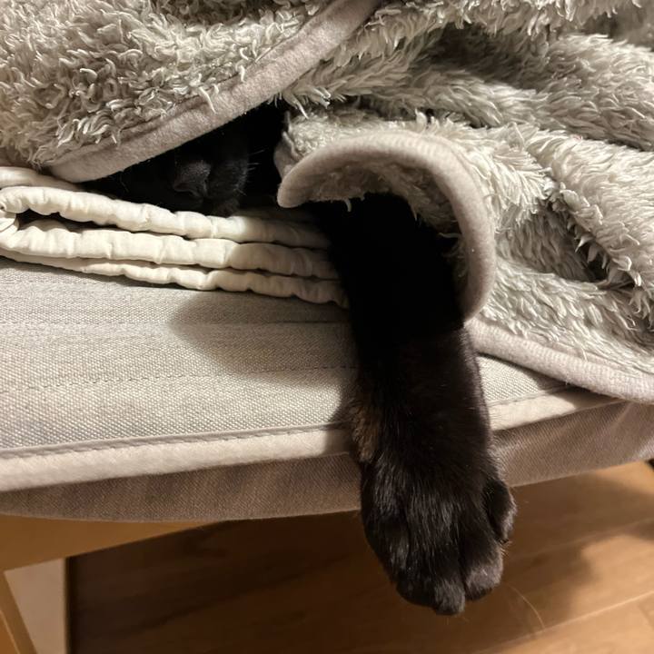 F557f56e 9e8b 4a1d 8d36 cf9f79e15ea8 1768826754446