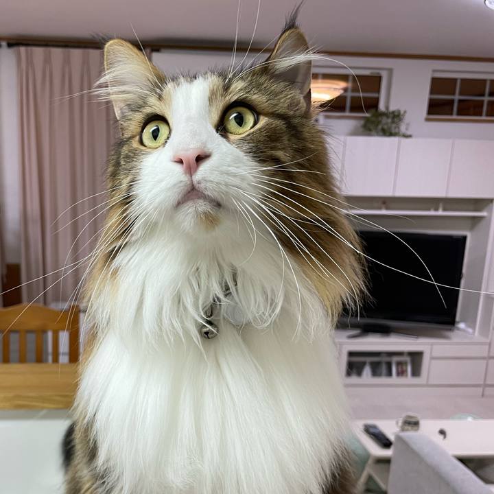 F5585bad fd6c 4c1a 8493 a152c6a57947 1671997728452