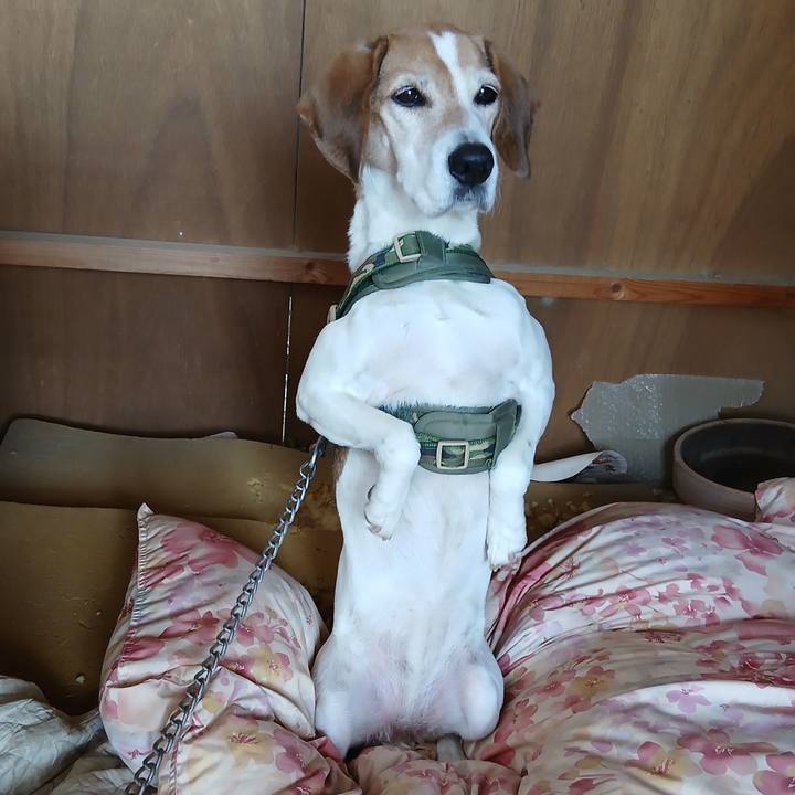 F55861b6 7b55 47e8 b1d8 d79eb28bbf49 1767148404430