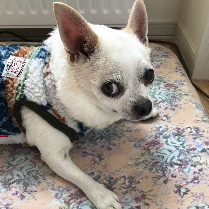 F55886f7 1ba3 46ca 9f1d 42a17d8ef9c2 1582551494829