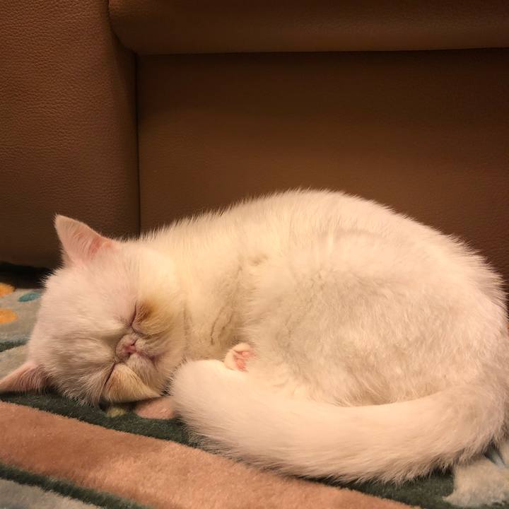 F558a4f6 8357 4615 9255 23877b0659f7 1546662859258