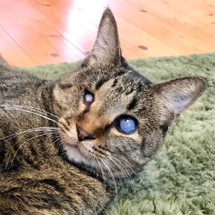 F558c29e dae7 46ad ab0f cfc6cd6568d6 1538016625698