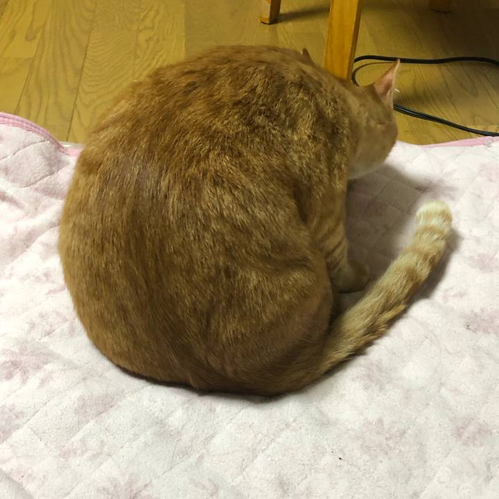 F558dad5 6d2f 4f95 b090 2b44c92328fb 1562845942256