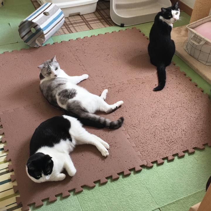 F558e423 c6e6 4fde b0d8 2604e59a976d 1592190052820